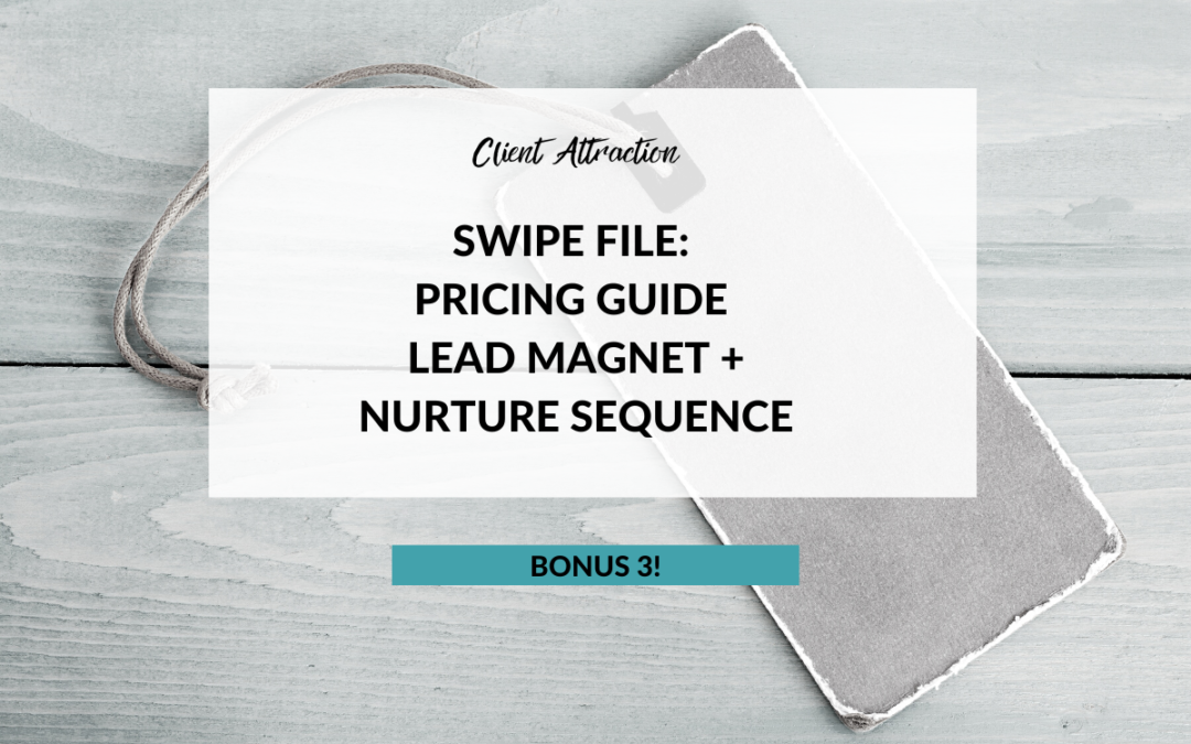 Bonus Pricing Guide Lead Magnet + Nurture Sequence