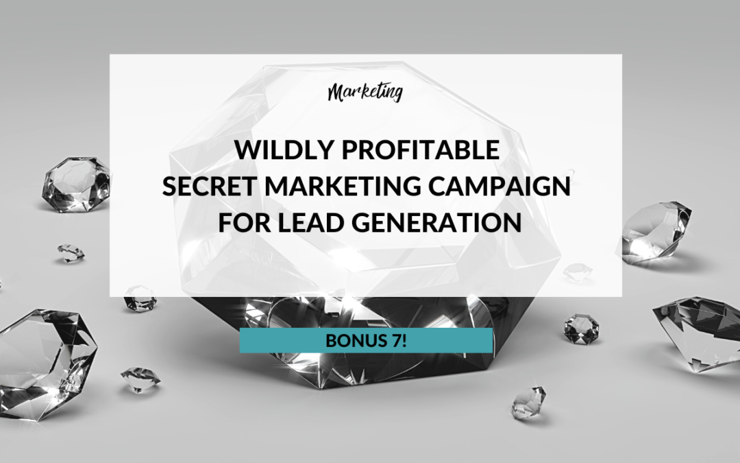 Bonus Secret Marketing Campaign